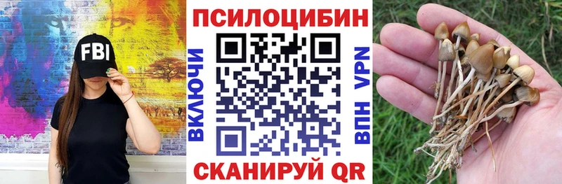 где купить наркоту  Кызыл  Псилоцибиновые грибы ЛСД 